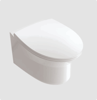 Wall hung bowl with douche and handel + Concealed Tank