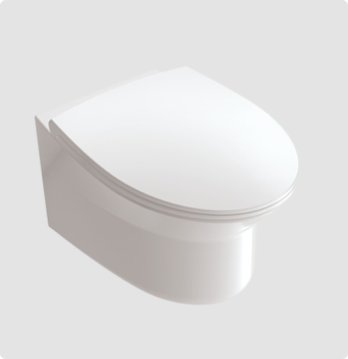 Wall hung bowl with douche and handel + Concealed Tank